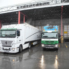 DSCN0279_jpg-1329638828