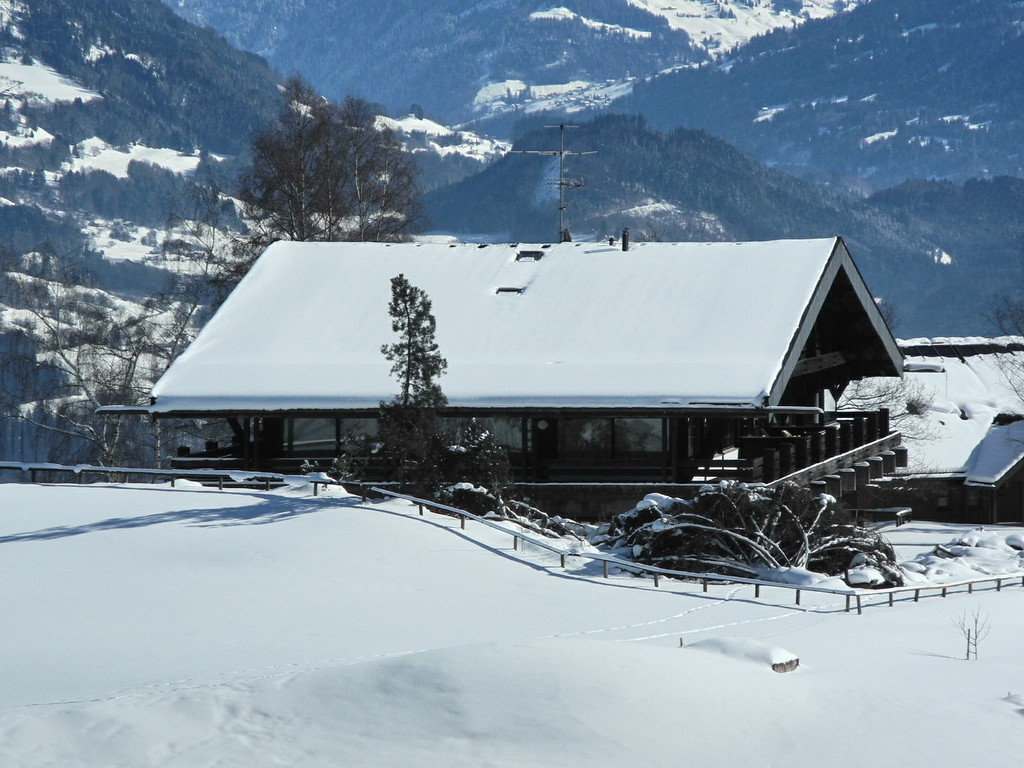 DSCN0330_jpg-1329643360