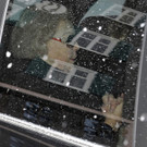DAB1312-20120219.jpg