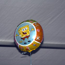 IMG_9561.JPG