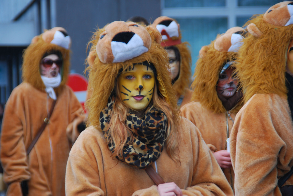 DSC_4419_jpg-1329671819