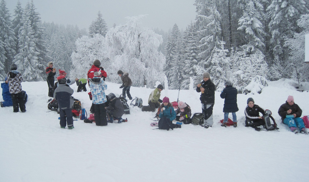Schnee1h_jpg-1329679287