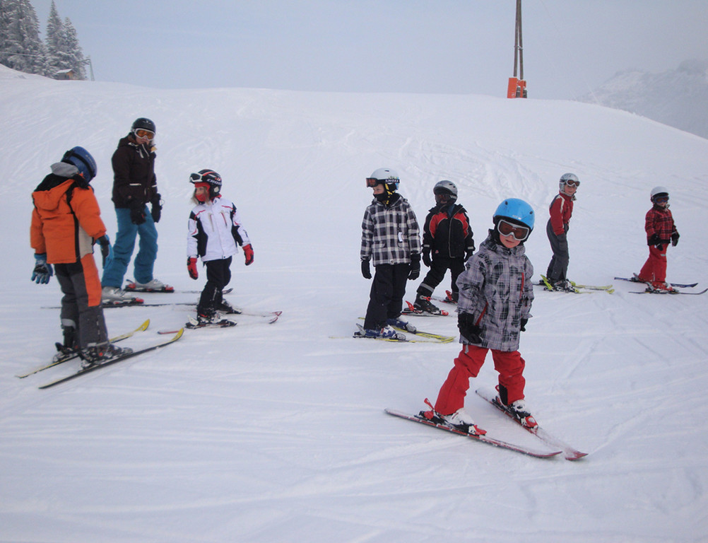Ski2d_jpg-1329679431