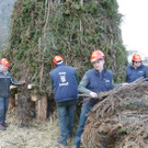 Erlach2c_jpg-1329684030