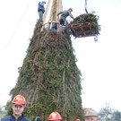 Erlach2d_jpg-1329684040