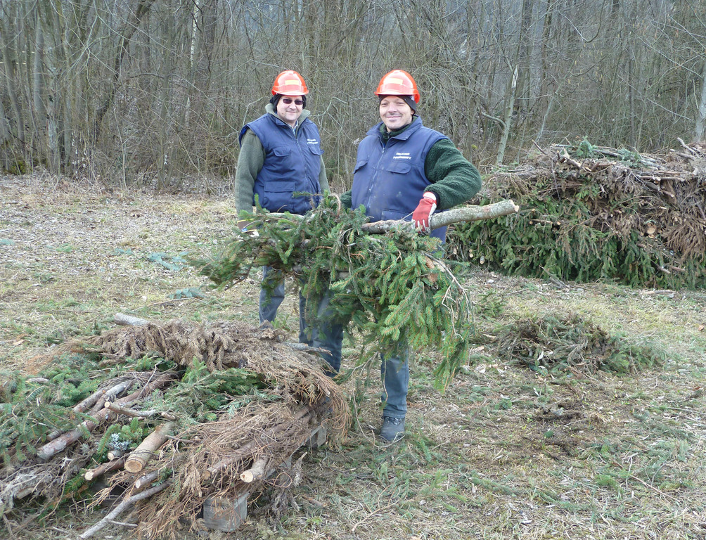 Erlach4Buscheln_jpg-1329684076