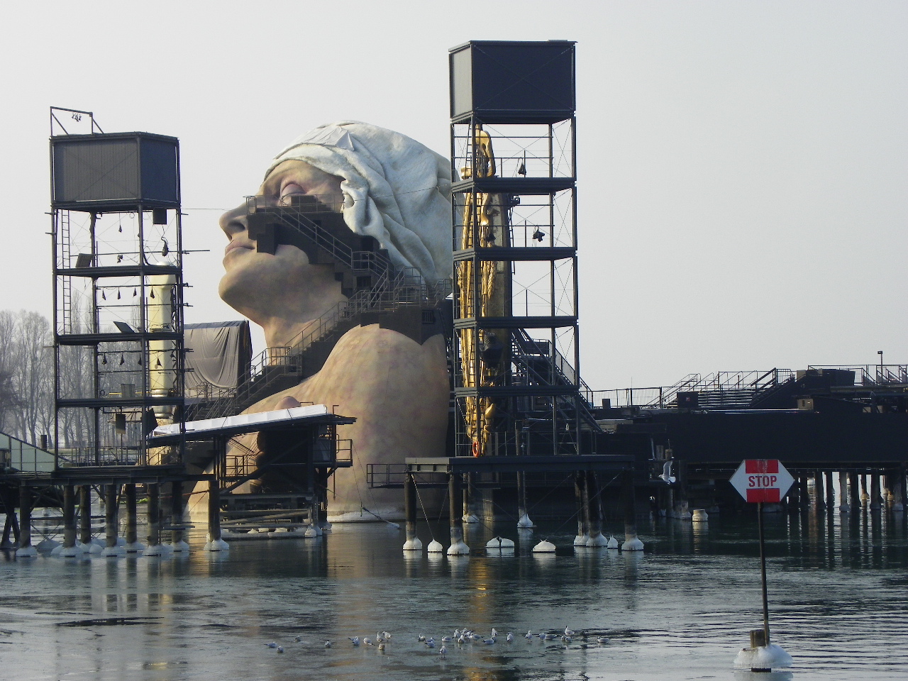 113_8018_JPG-1329690063