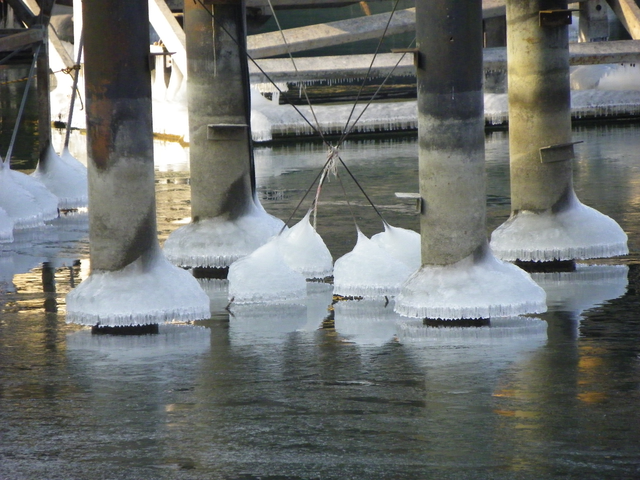 113_8046_JPG-1329690085