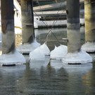 113_8046_JPG-1329690085