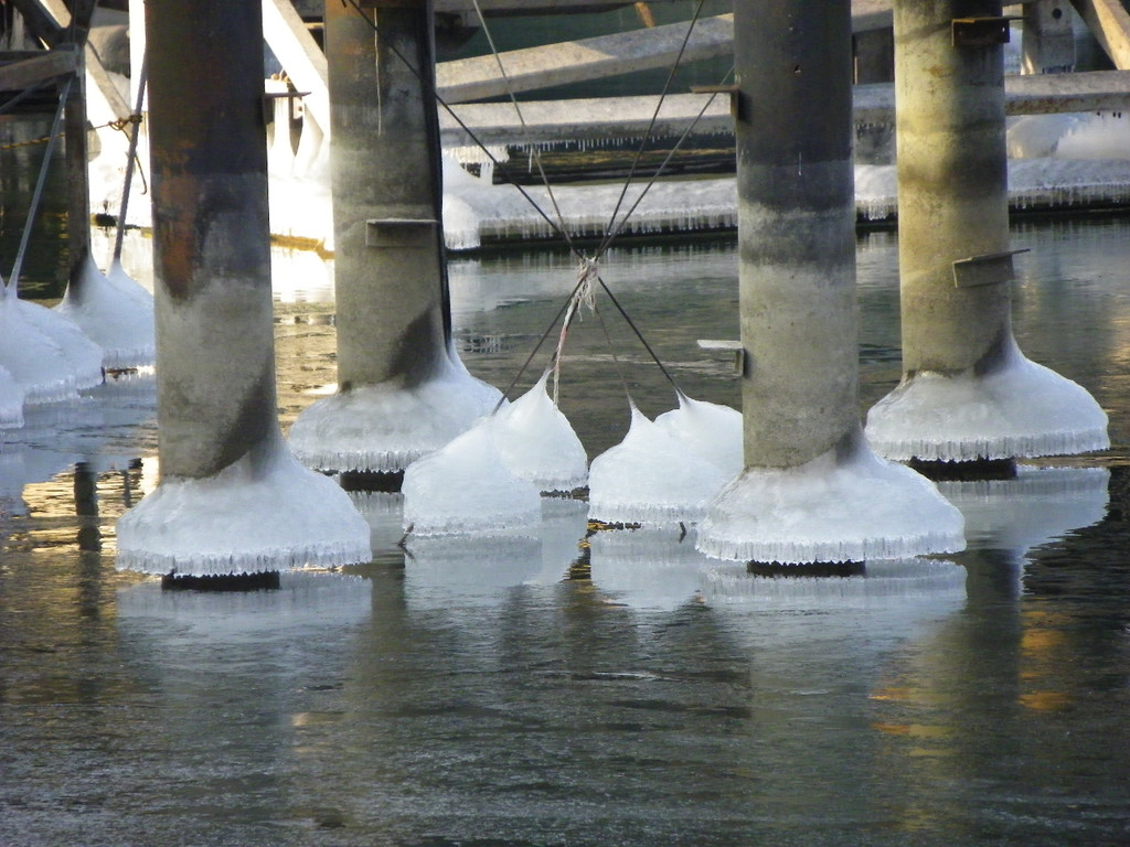 113_8046_JPG-1329690085