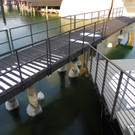 113_8059_JPG-1329690145