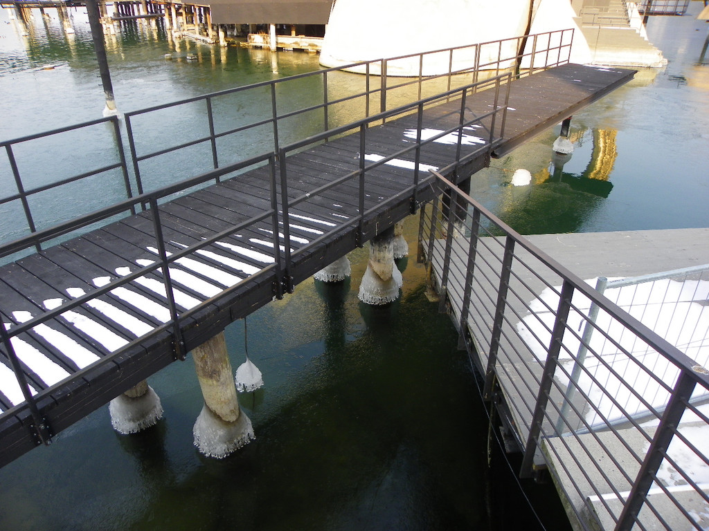 113_8059_JPG-1329690145