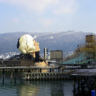 113_8070_JPG-1329690154