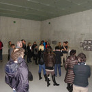 113_7860_JPG-1329690501