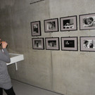 113_7862_JPG-1329690520