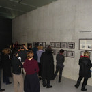 113_7873_JPG-1329690547