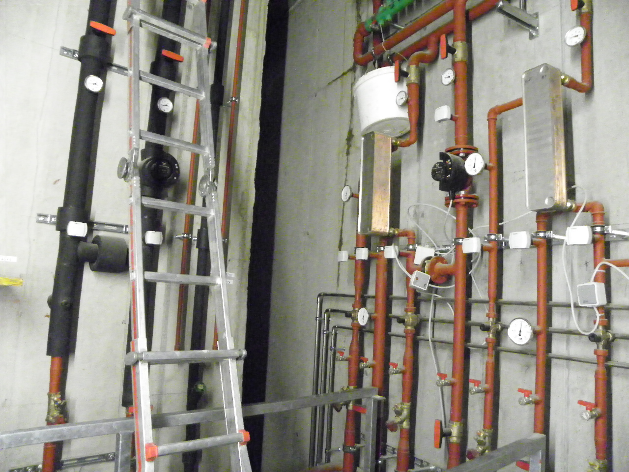 113_8371_JPG-1329691836