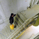 113_8374_JPG-1329691853