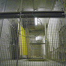 113_7004_JPG-1329691792