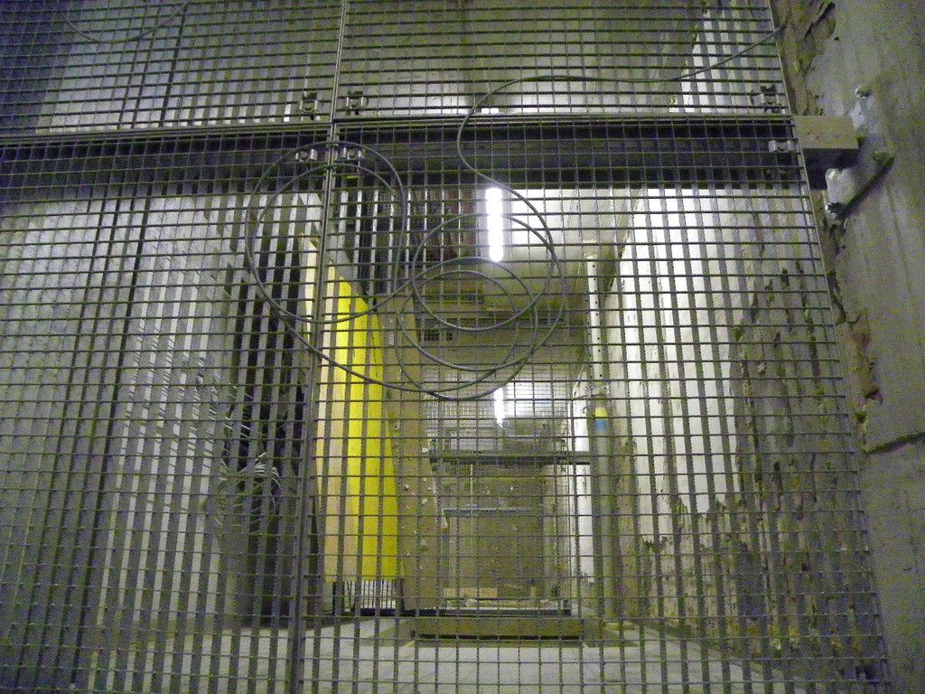 113_7004_JPG-1329691792