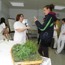 113_7796_JPG-1329692195