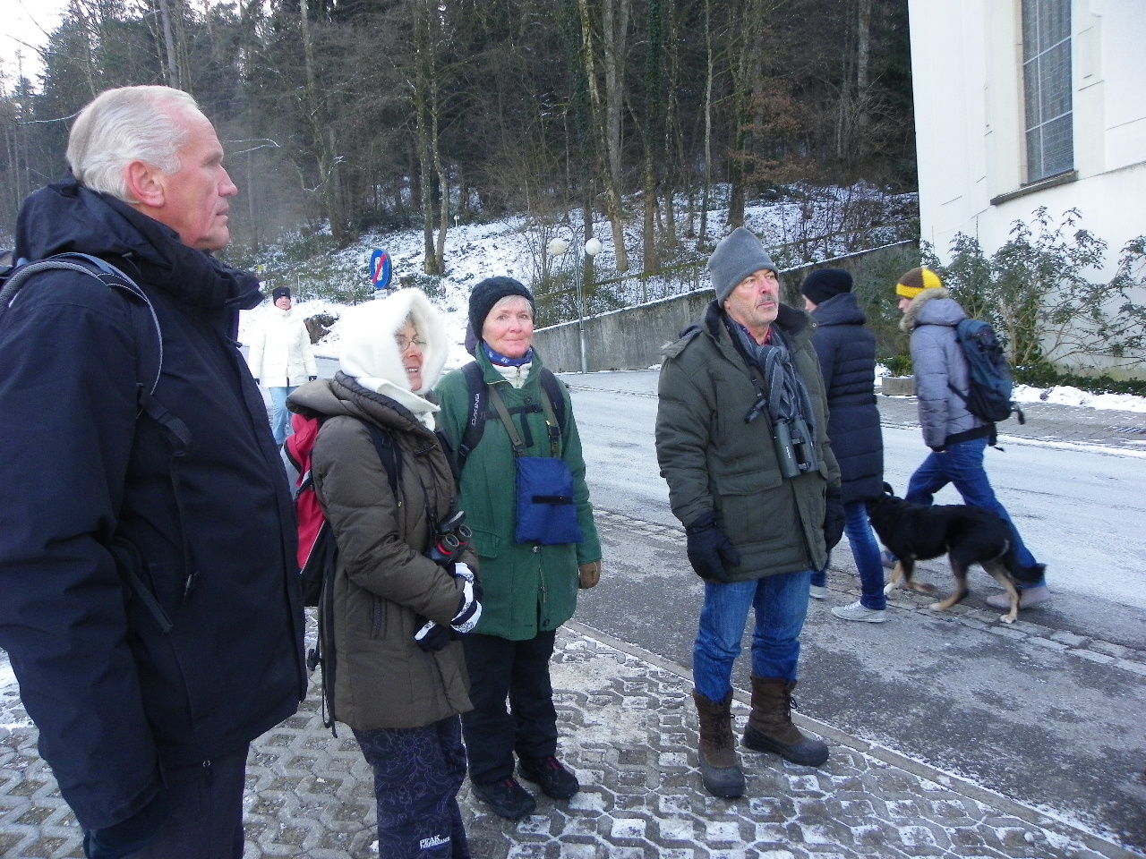 113_7371_JPG-1329692796