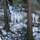 113_7379_JPG-1329692814