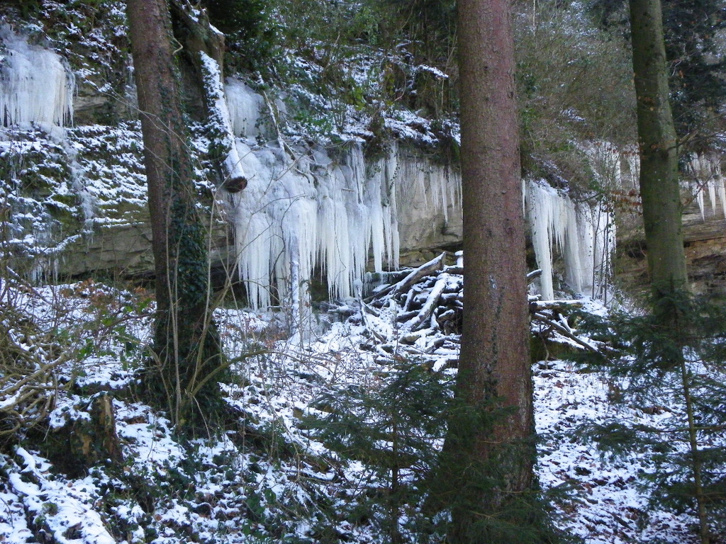 113_7379_JPG-1329692814