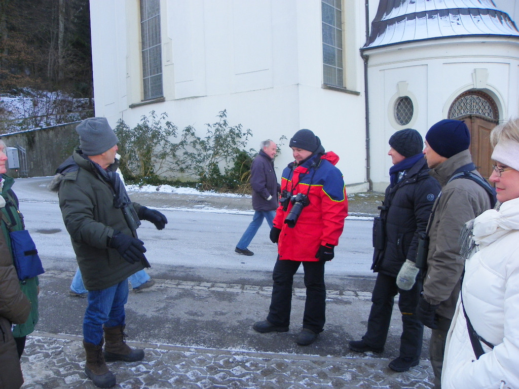 113_7372_JPG-1329692804