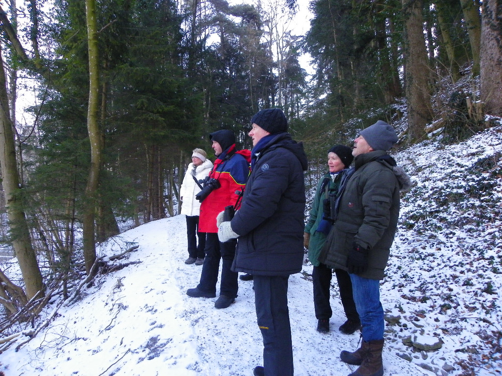 113_7380_JPG-1329692823