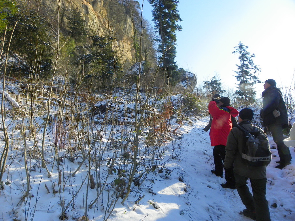 113_7418_JPG-1329692841