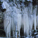 113_7382_JPG-1329692833