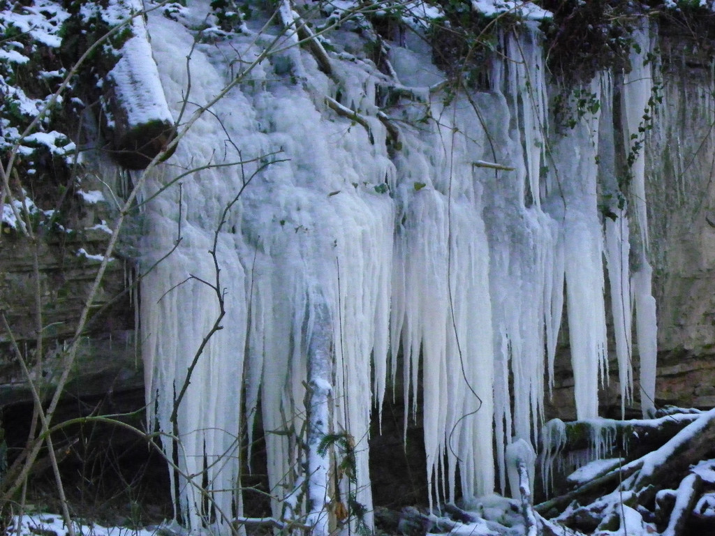 113_7382_JPG-1329692833