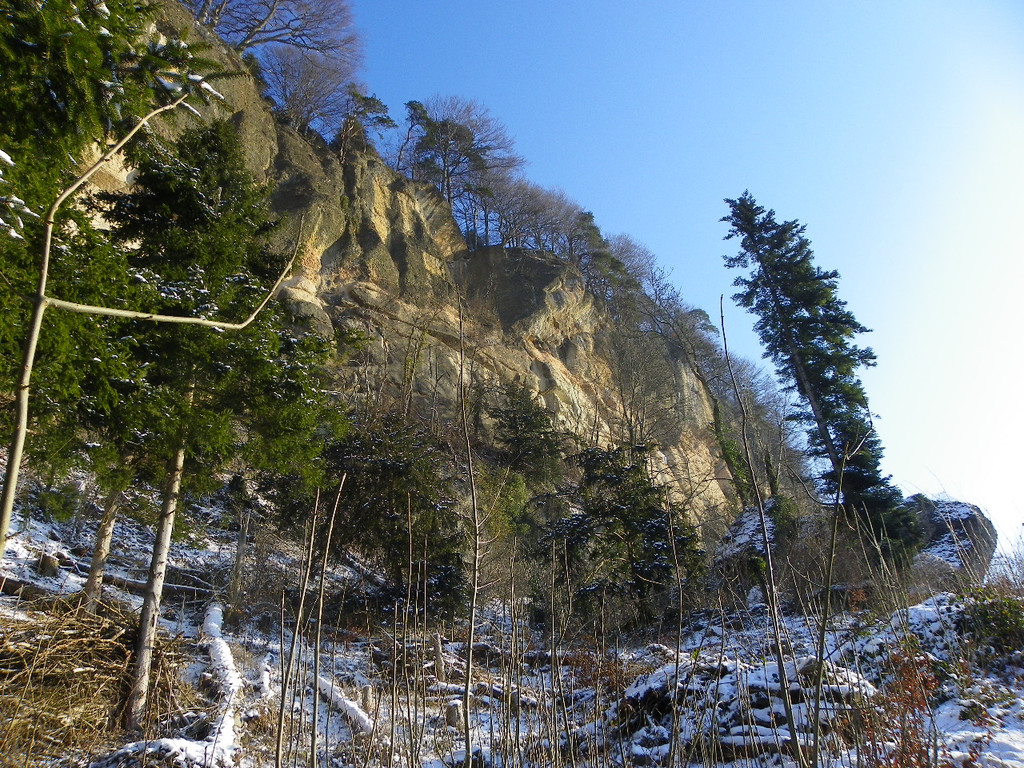 113_7419_JPG-1329692851