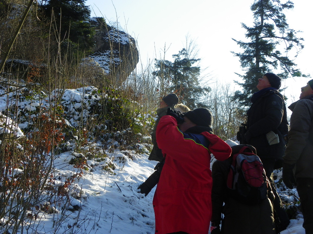 113_7420_JPG-1329692860