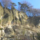 113_7423_JPG-1329692869