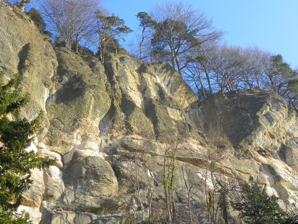 113_7423_JPG-1329692869