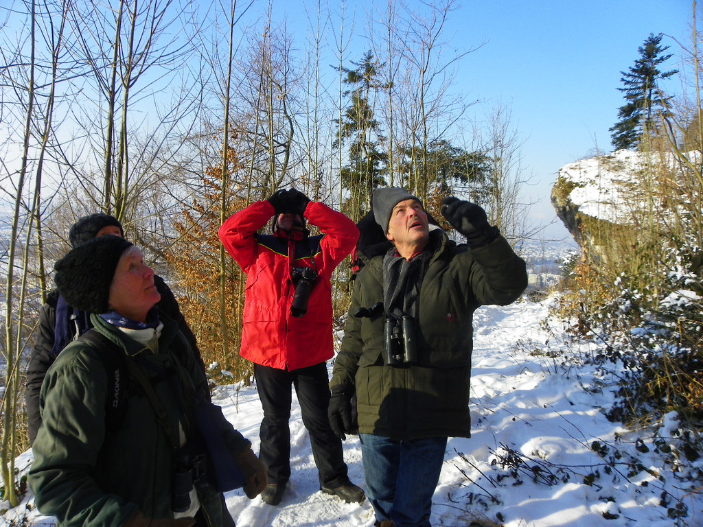 113_7440_JPG-1329692878