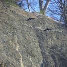 113_7466_JPG-1329692956