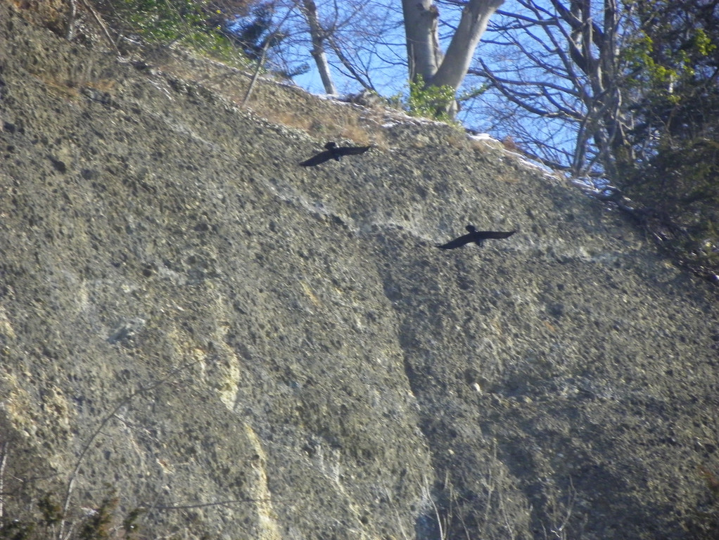 113_7466_JPG-1329692956