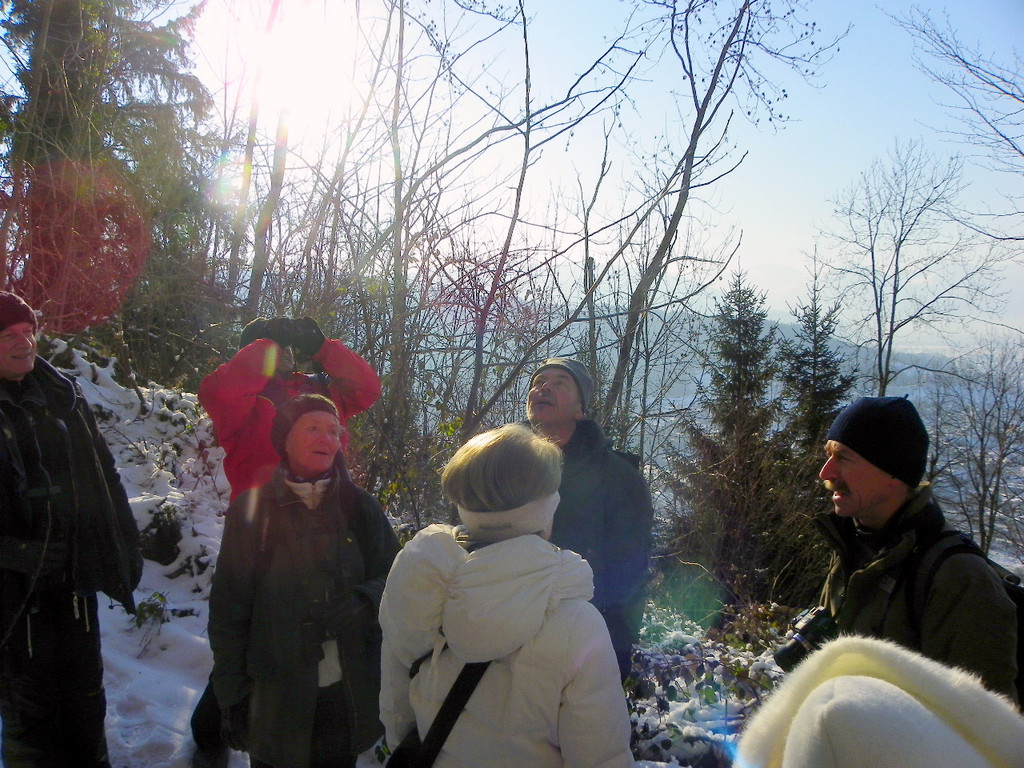 113_7451_JPG-1329692896