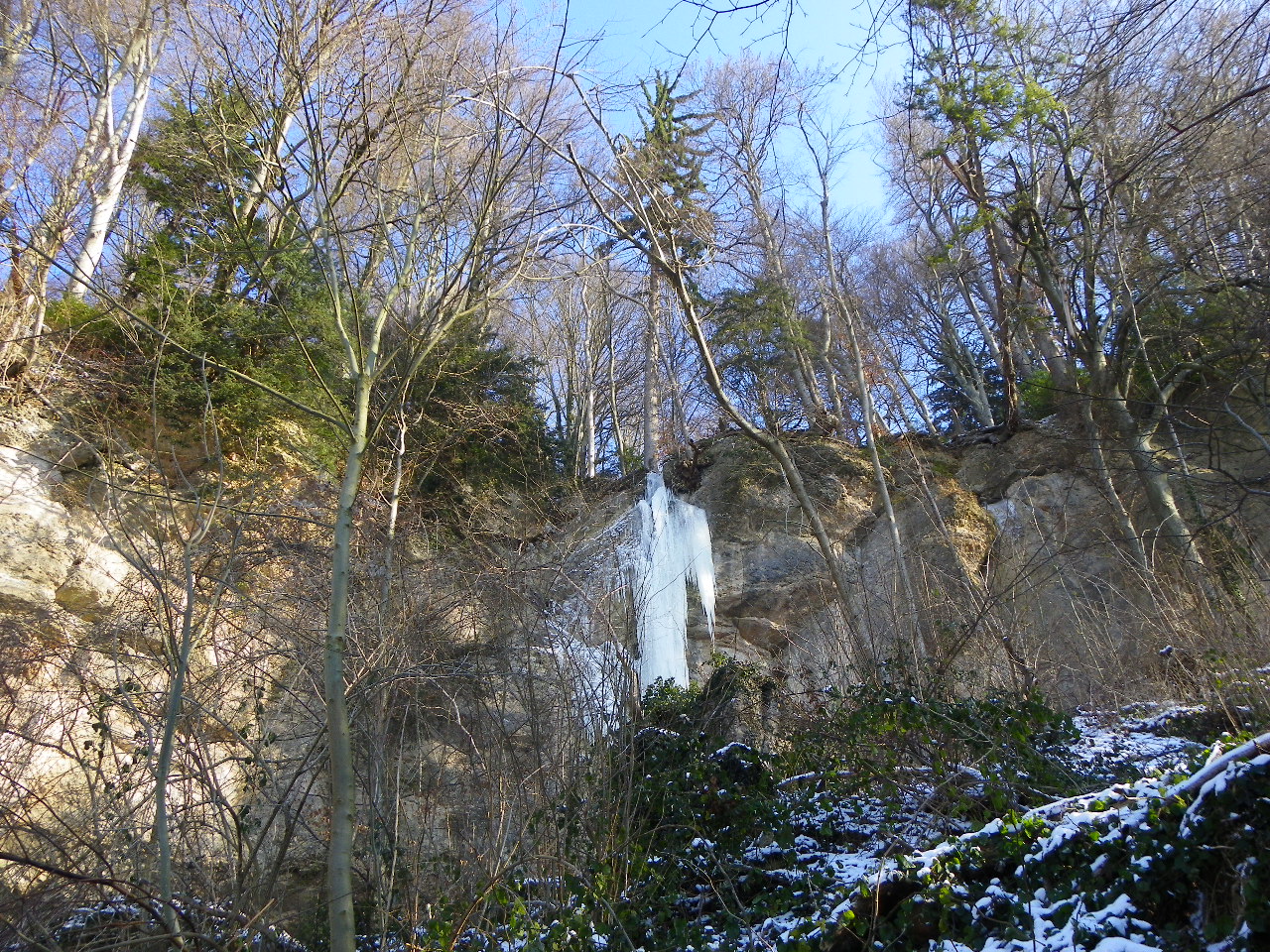 113_7469_JPG-1329692966