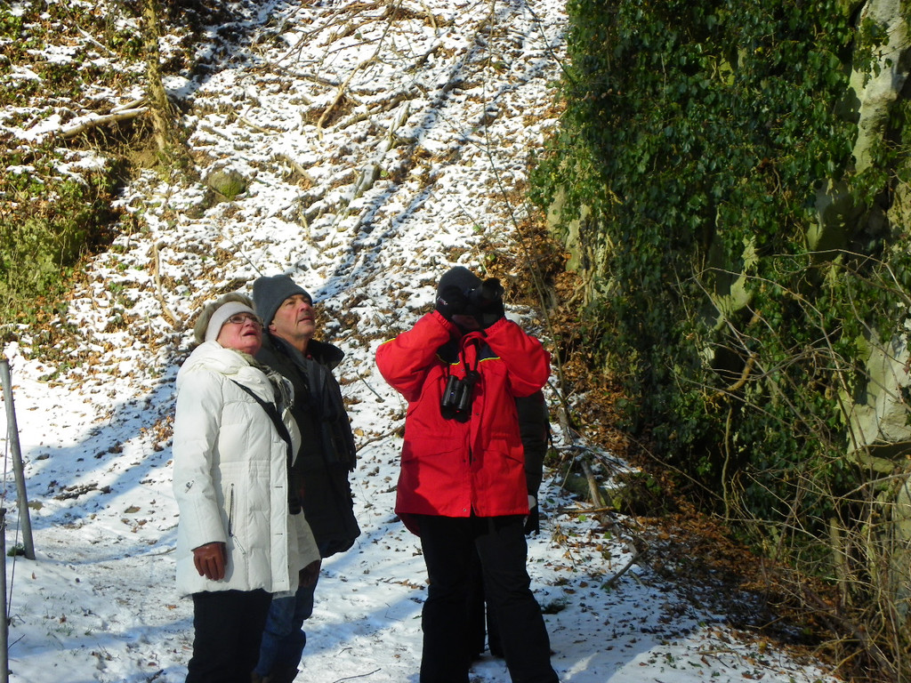 113_7475_JPG-1329692975