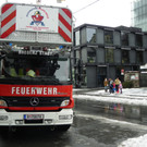 113_8391_JPG-1329693360