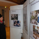 113_7334_JPG-1329694222