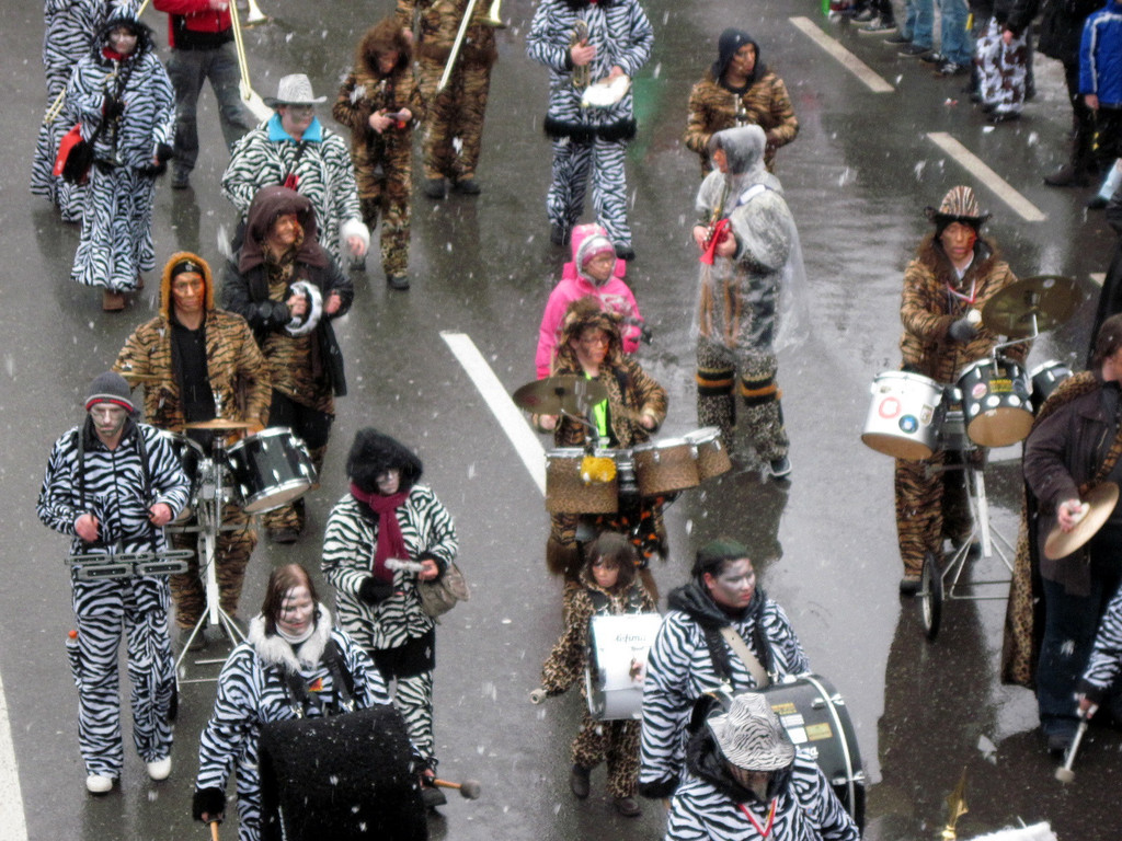 IMG_0514_JPG-1329696614