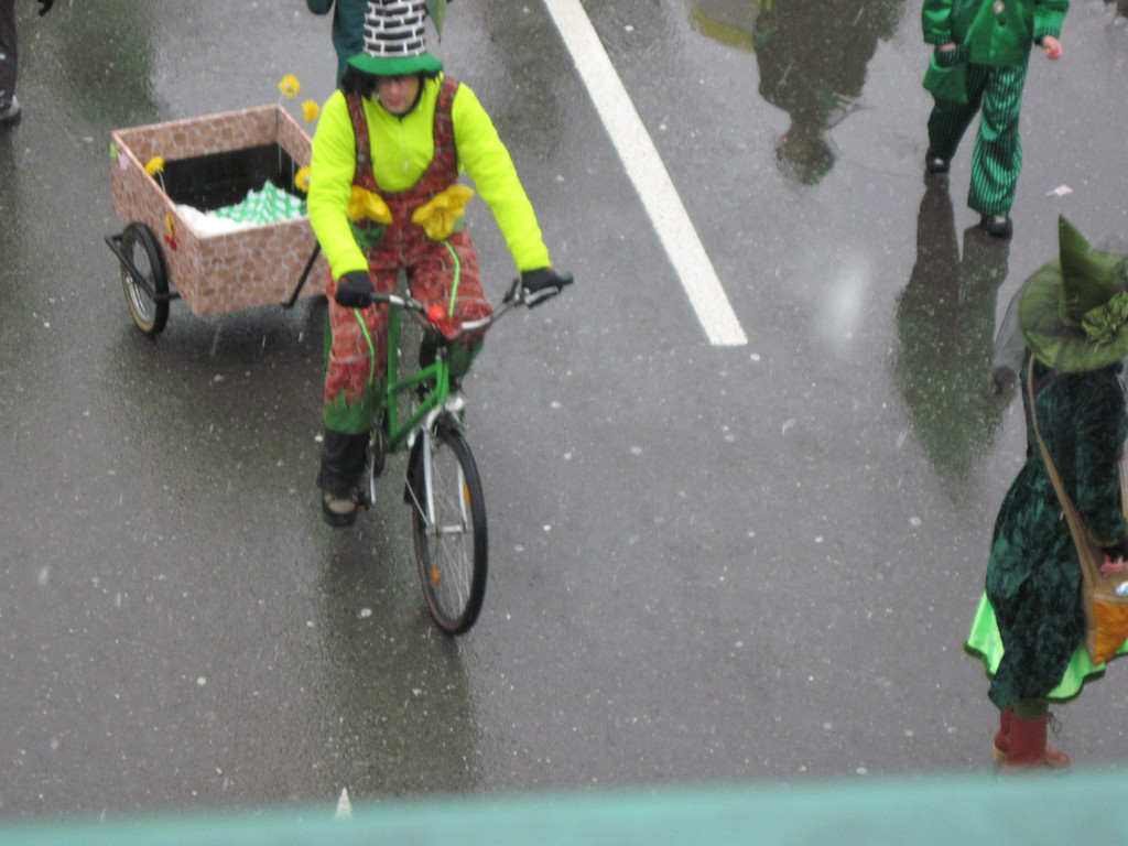 IMG_0520_JPG-1329696639