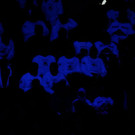 normal_19022012_fmt_rbskac_ta_006.JPG