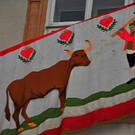19022012metzgerat05003aktivnews_080.jpg