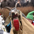 19022012faschingantheringat05004aktivnews_005.jpg